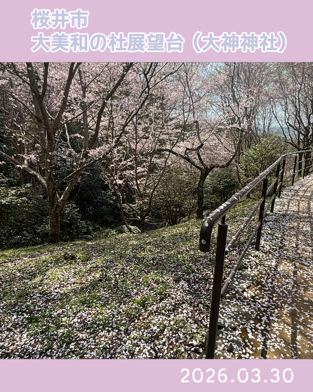 20260330大美和の杜