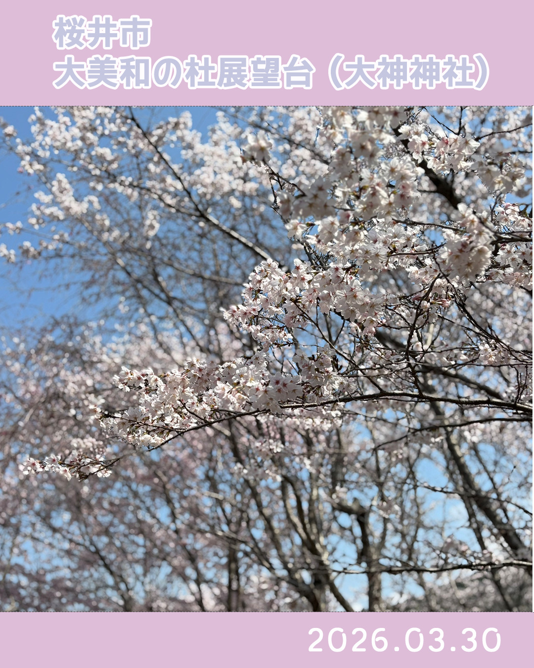 20260330大美和の杜