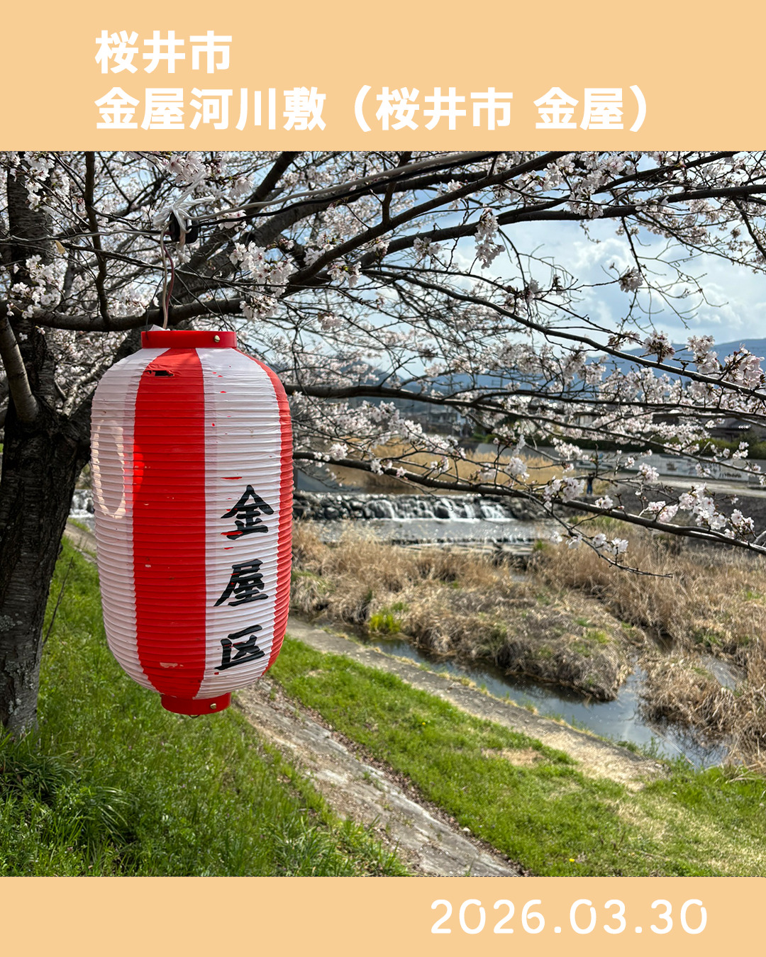 20260330金屋河川敷
