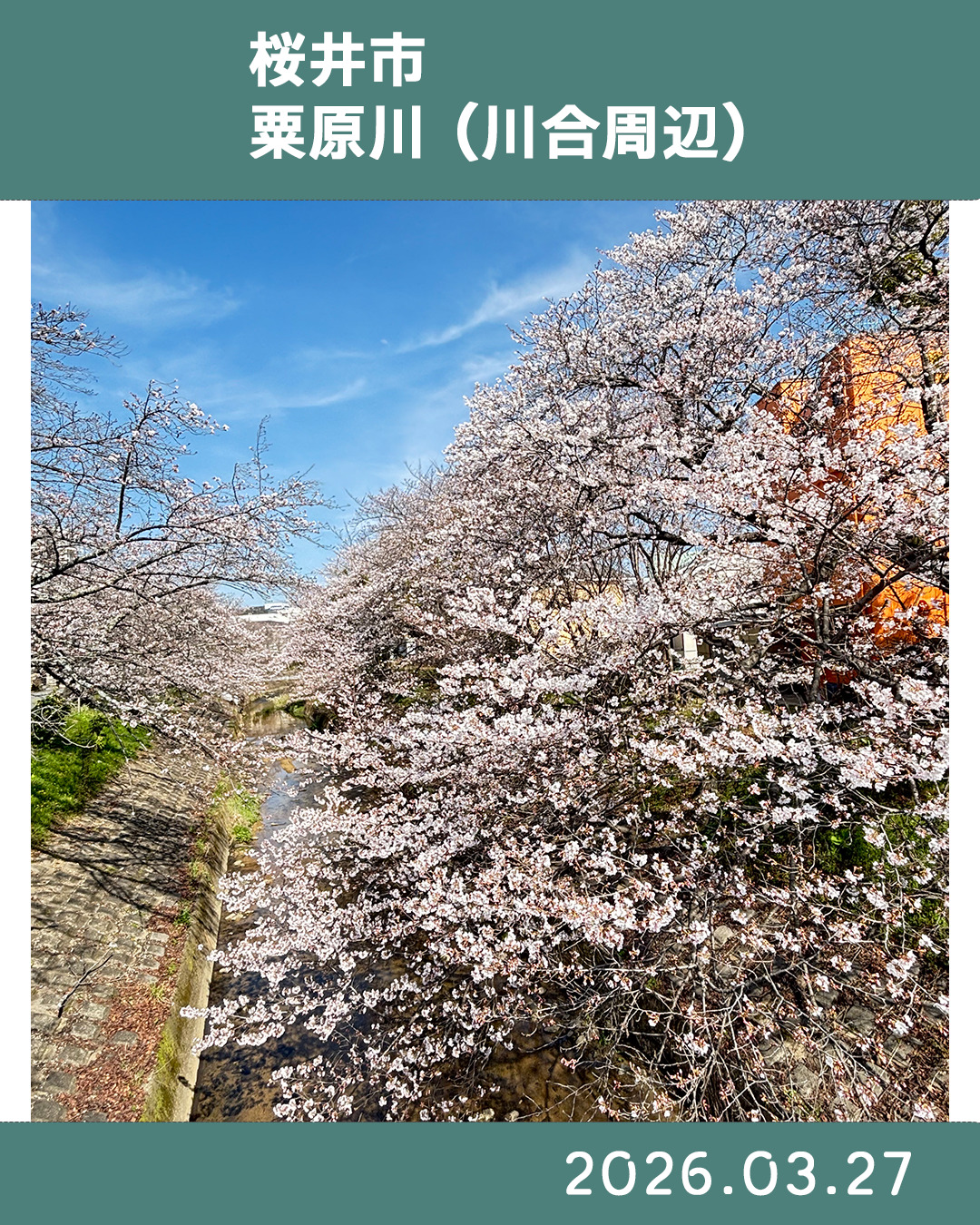 20260327粟原川 のコピー