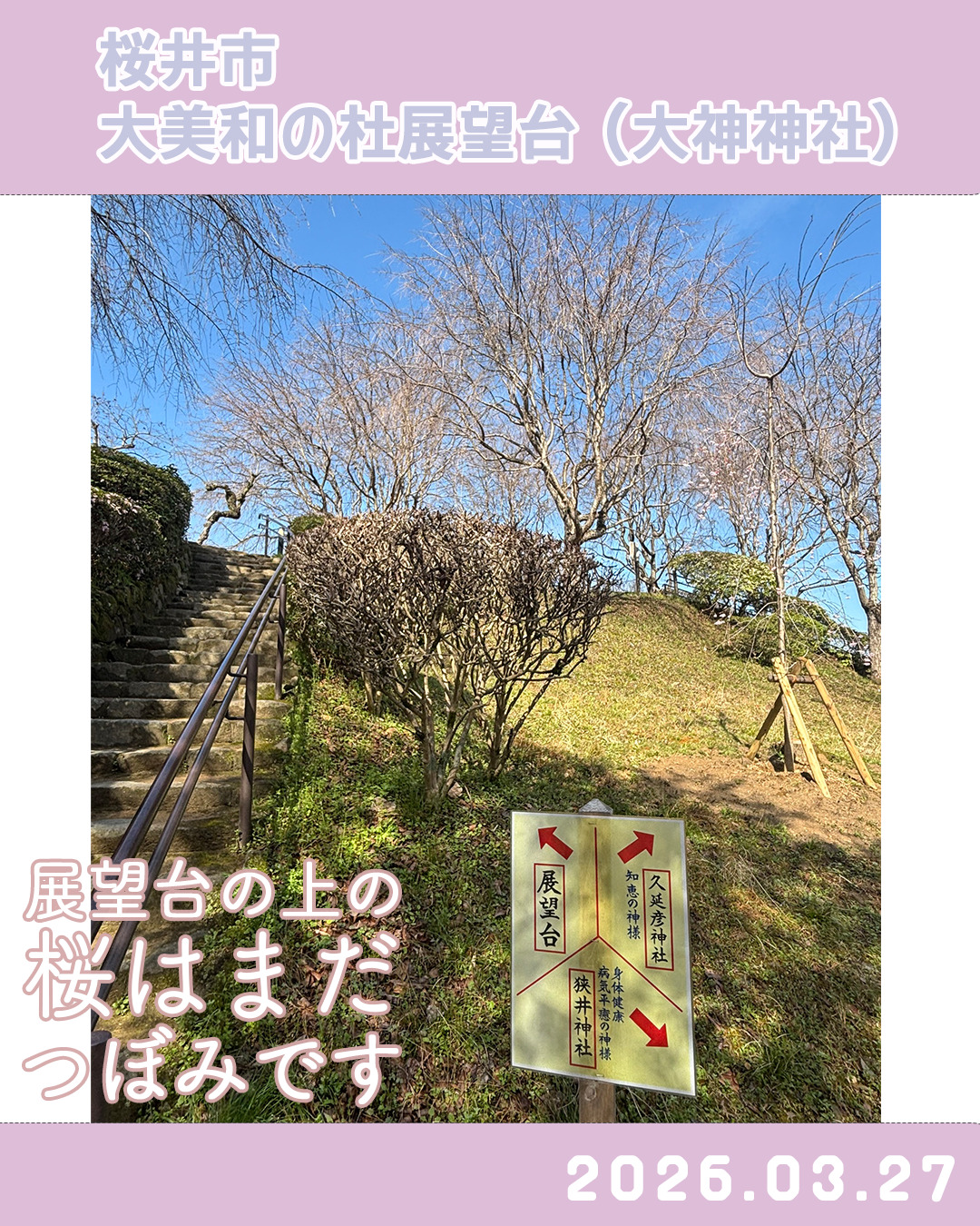 20260327大美和の杜展望台-4