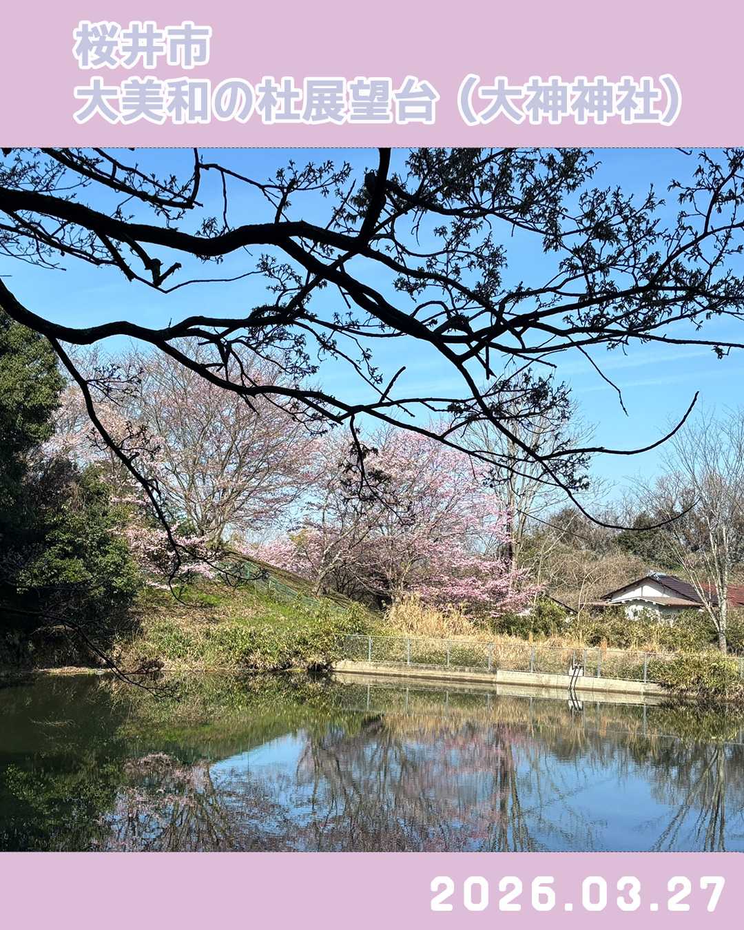 20260327大美和の杜展望台-1