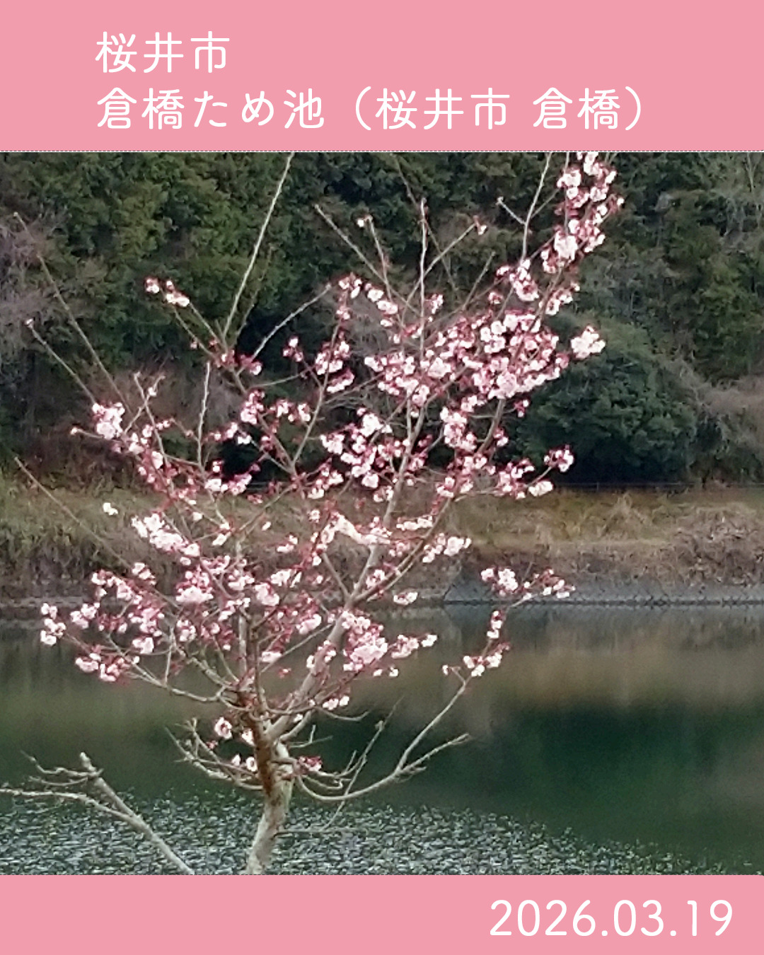 20260319倉橋ため池