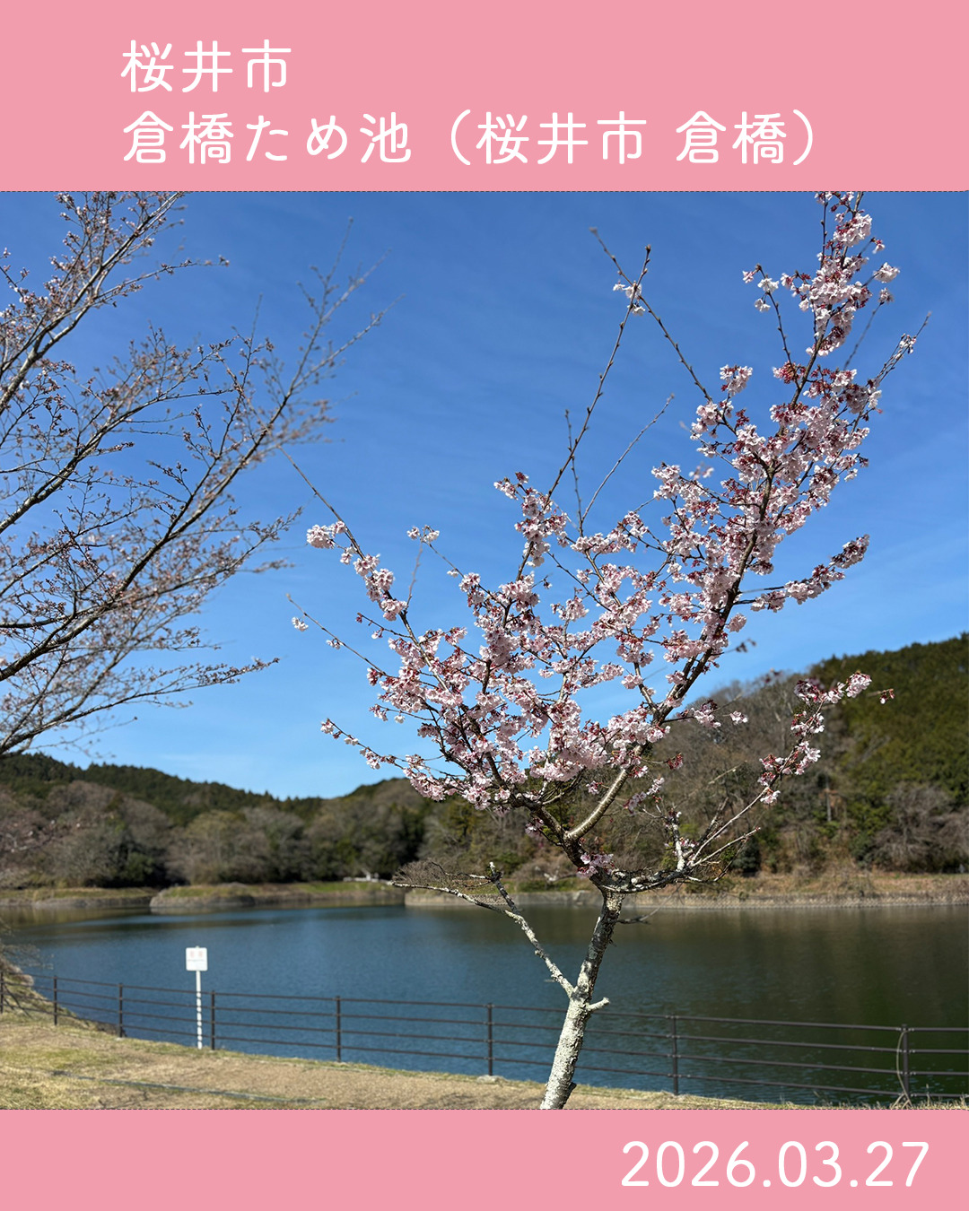 20260327倉橋ため池 のコピー 4