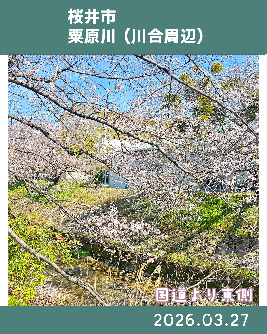 20260327粟原川 のコピー 2