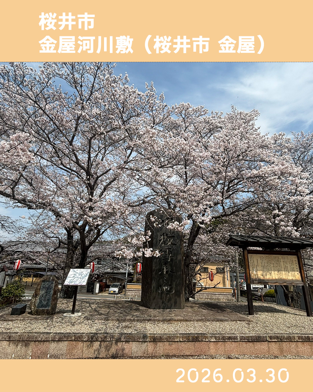 20260330金屋河川敷