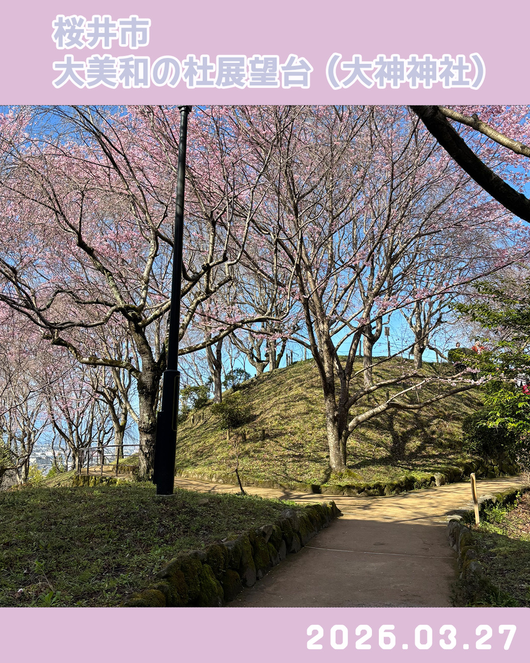 20260327大美和の杜展望台-2