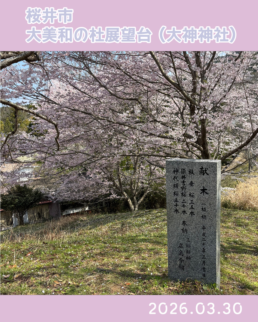 20260330大美和の杜