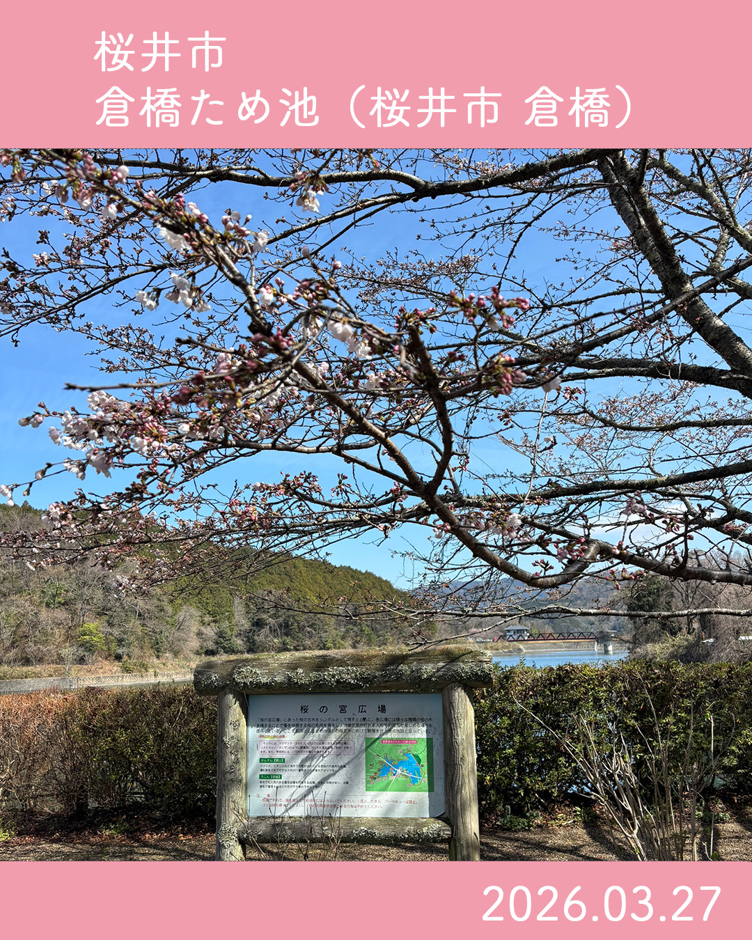 20260327倉橋ため池 のコピー 2