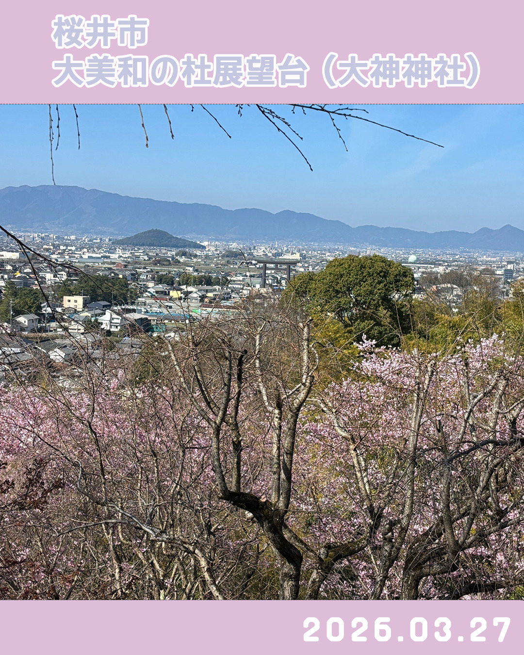 20260327大美和の杜展望台