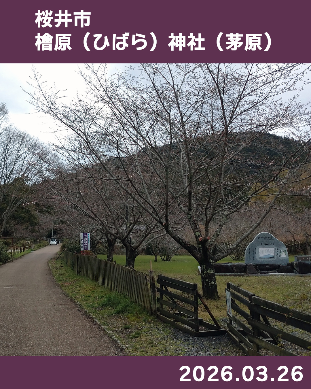 20260326桧原神社周辺_