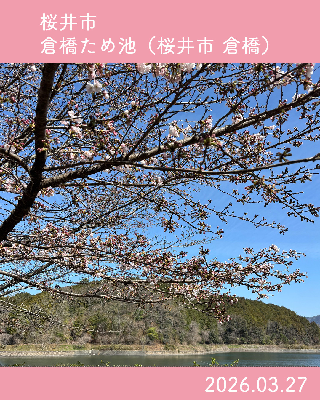 20260327倉橋ため池 のコピー