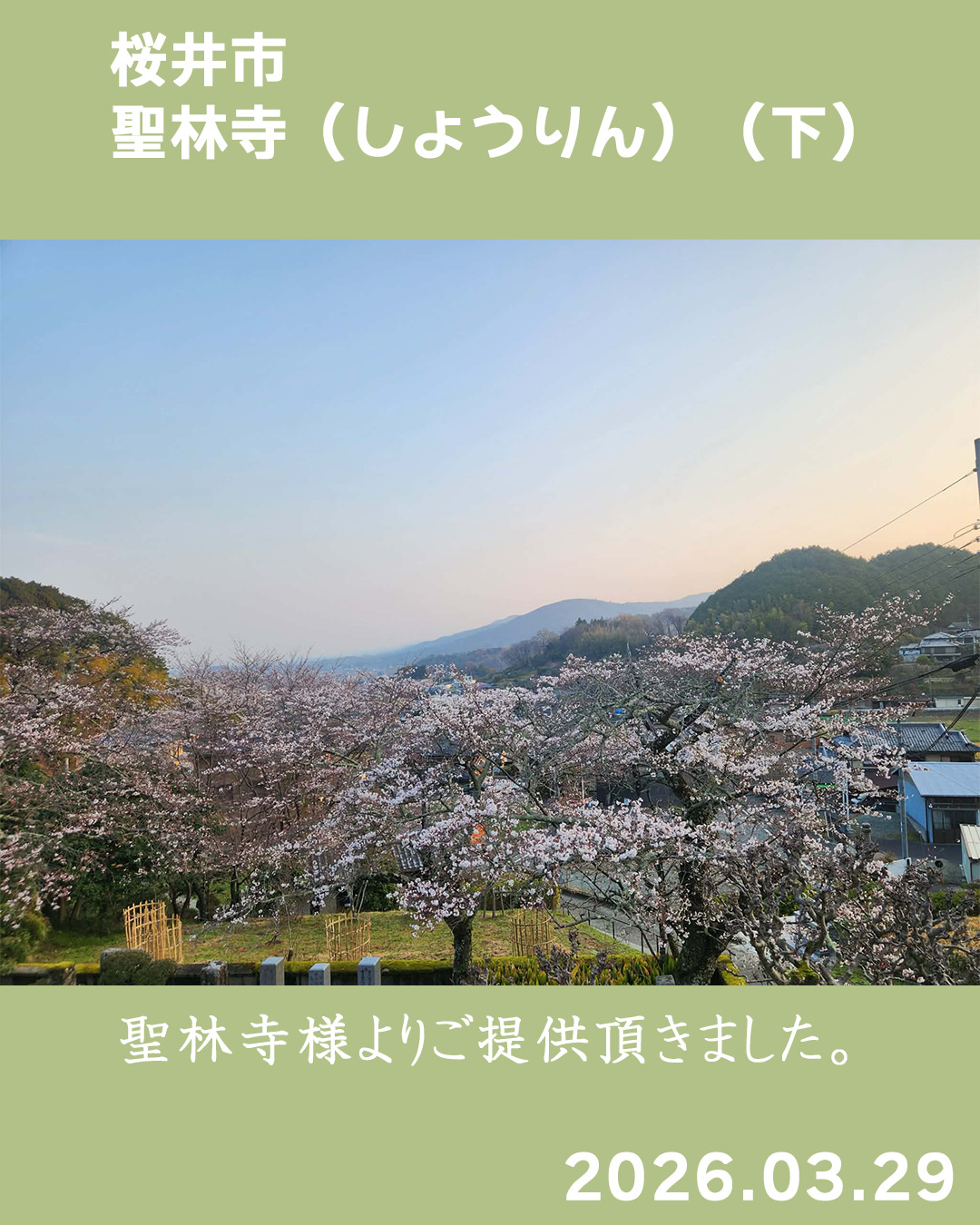 20260329_聖林寺 のコピー