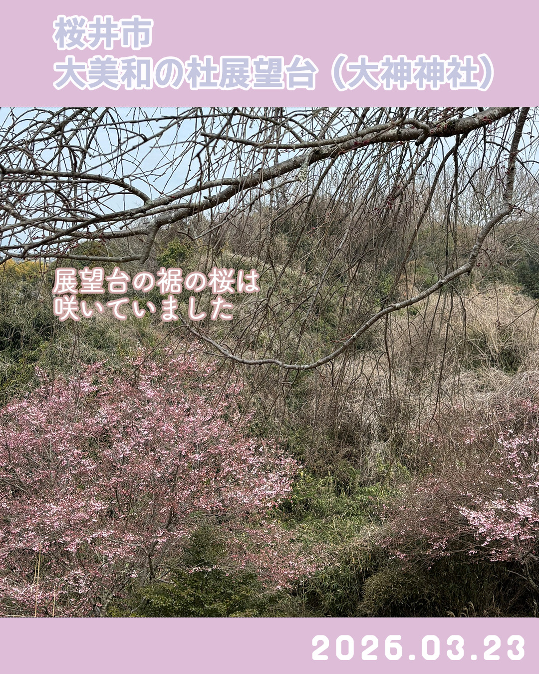 20260323大美和の杜展望台 のコピー