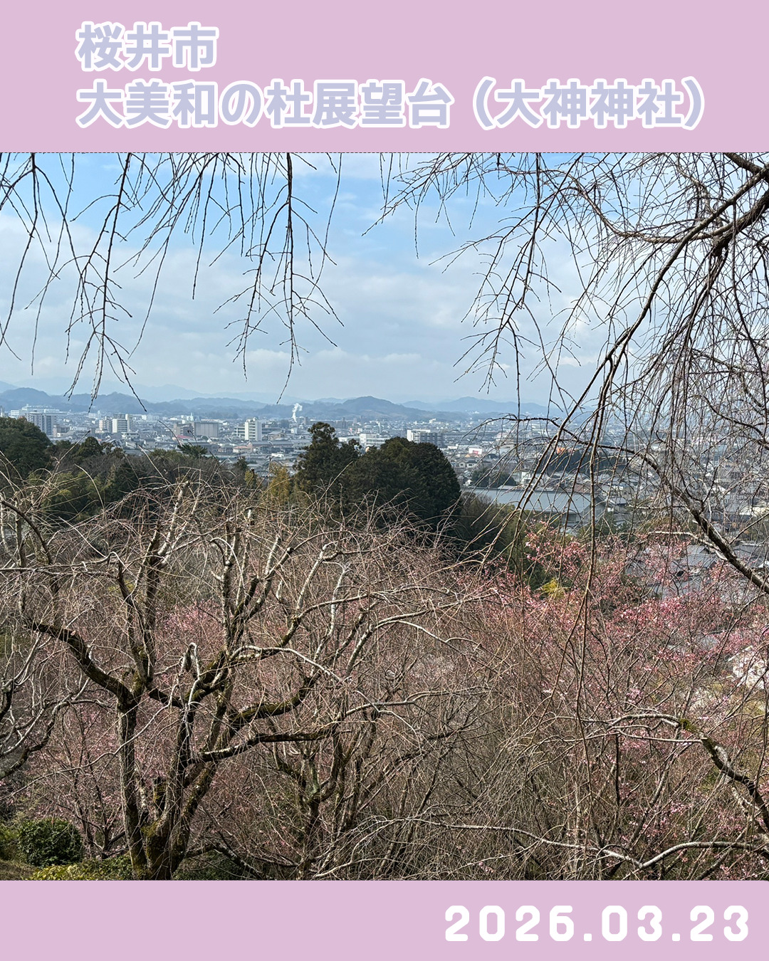 20260323大美和の杜展望台