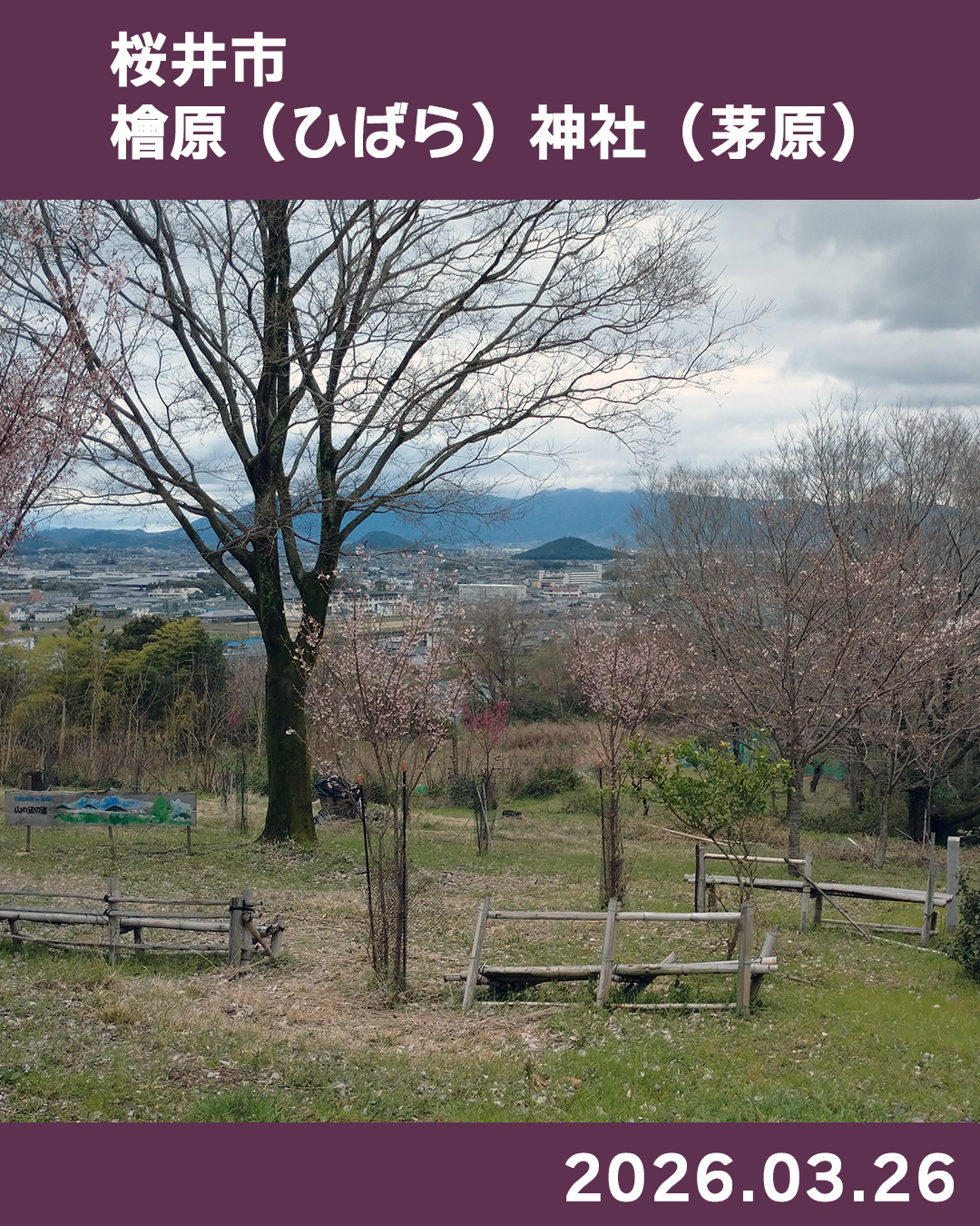 20260326桧原神社周辺