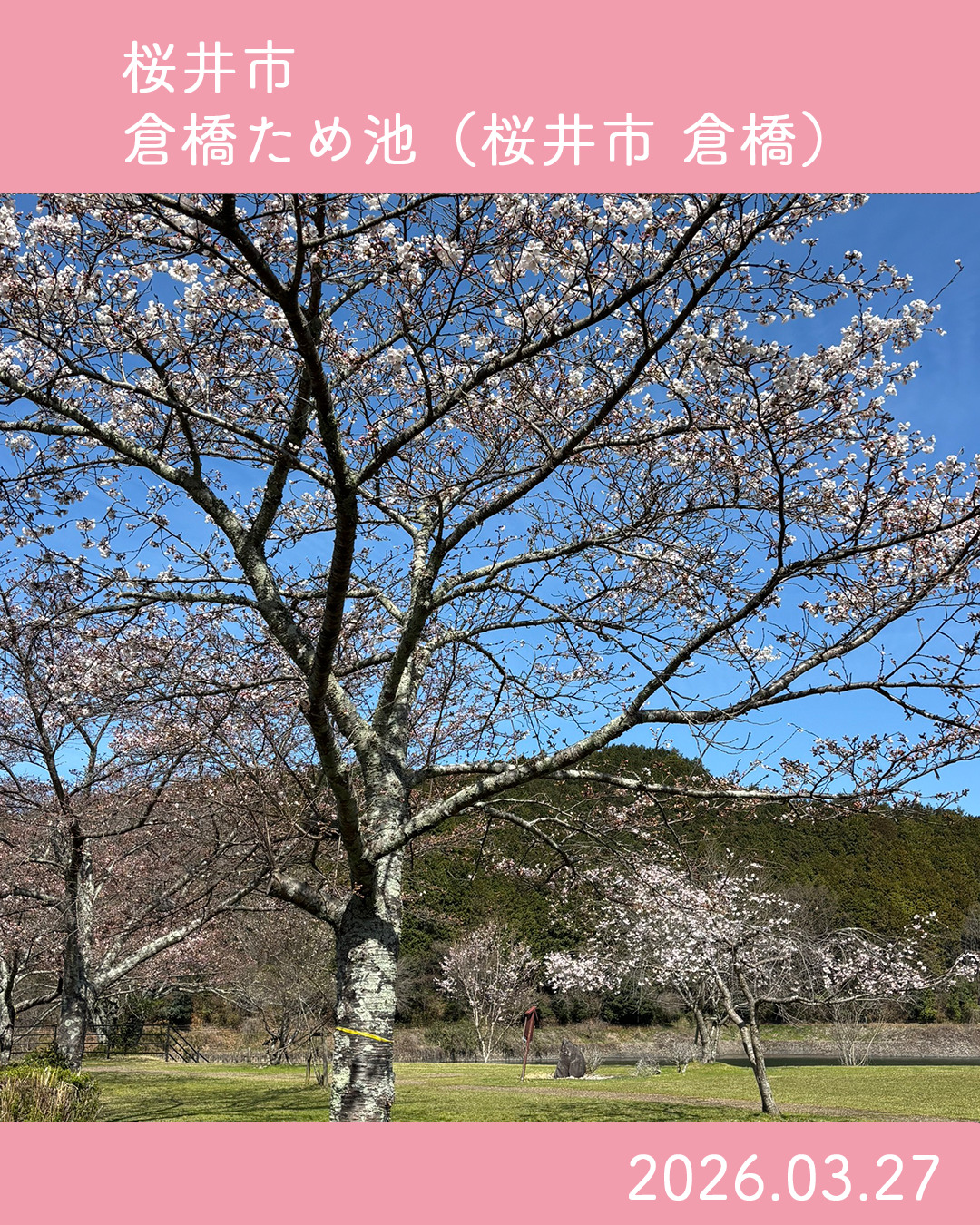 20260327倉橋ため池 のコピー 5