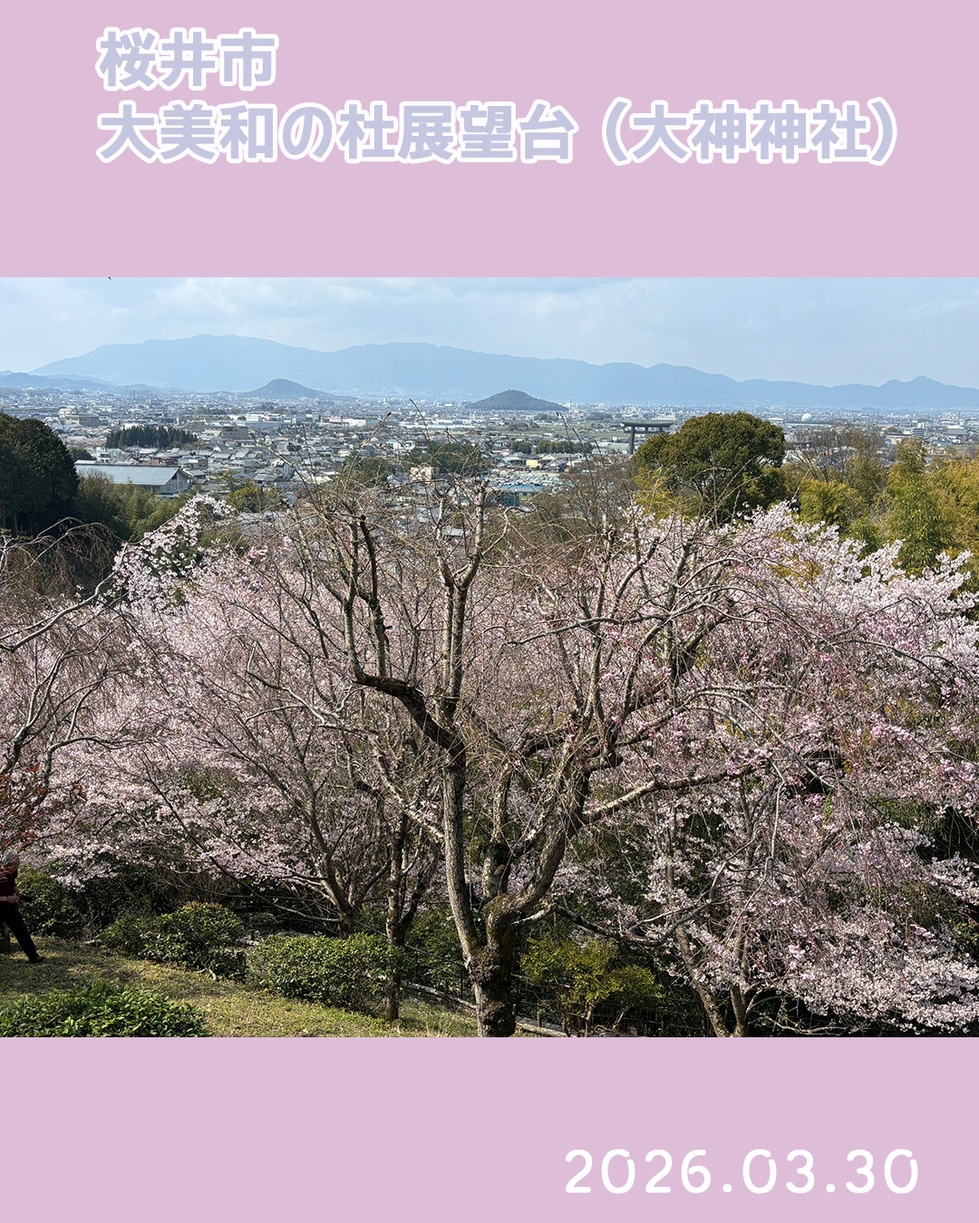 20260330大美和の杜
