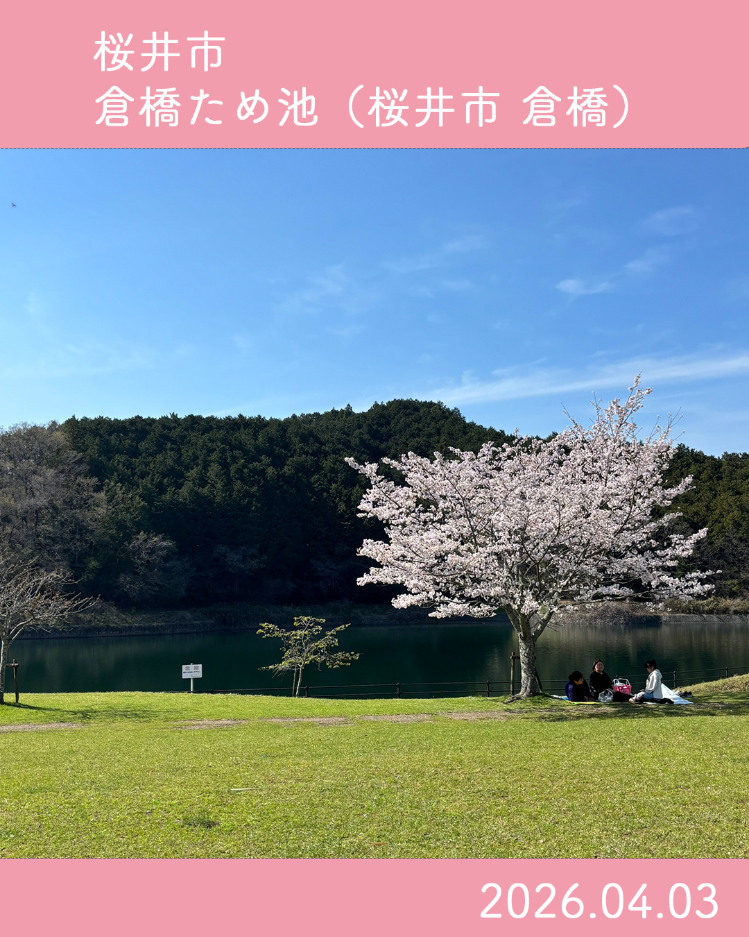 20260403倉橋溜池