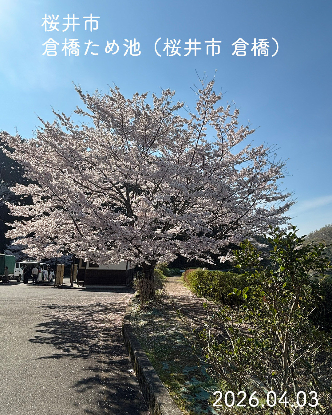 20260403倉橋溜池