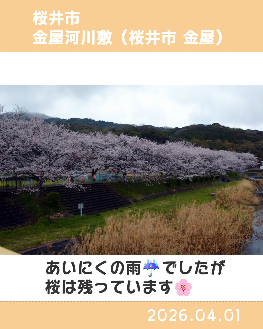 20260401金屋河川敷