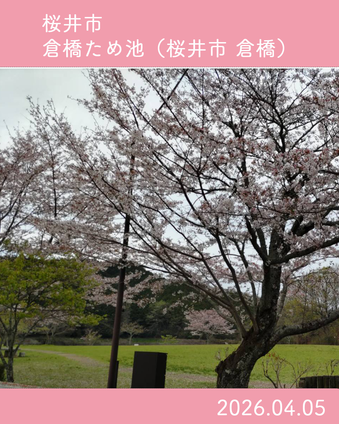 20260405_倉橋溜池