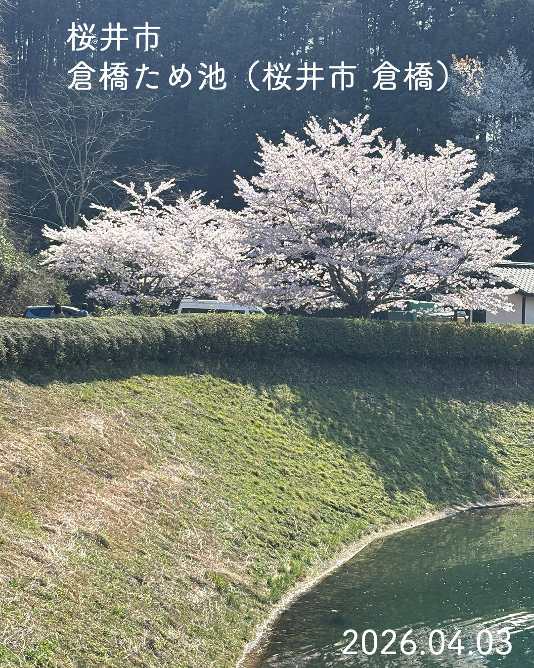 20260403倉橋溜池