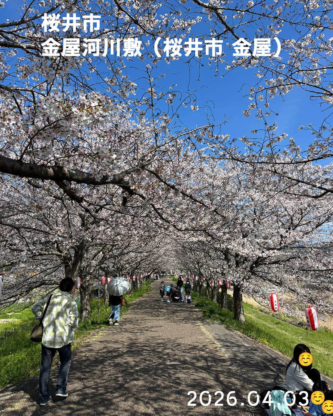 20260403金屋河川敷