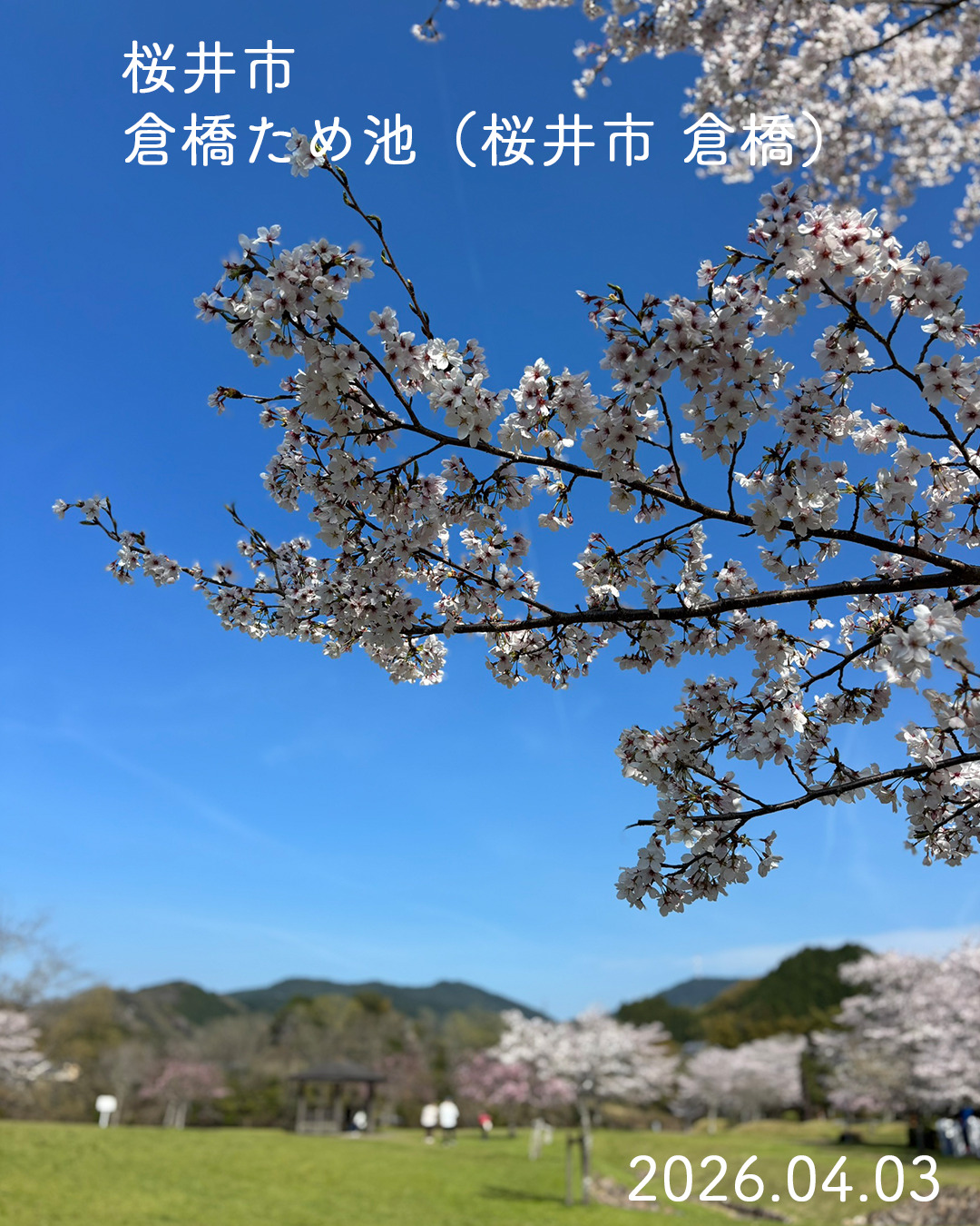 20260403倉橋溜池