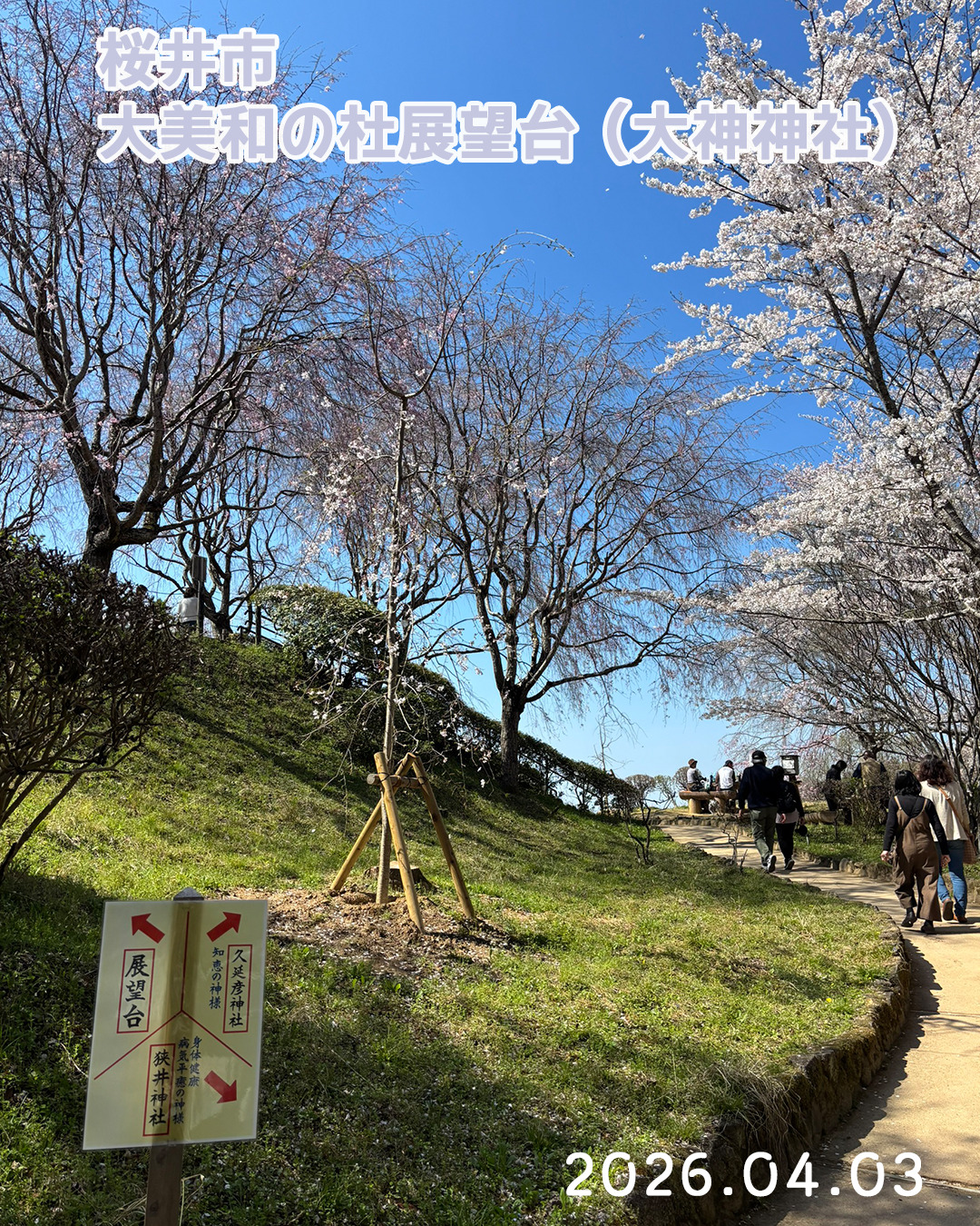 20260403大美和の杜