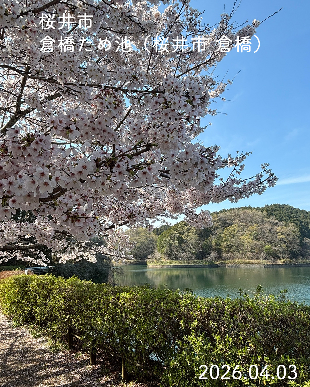 20260403倉橋溜池