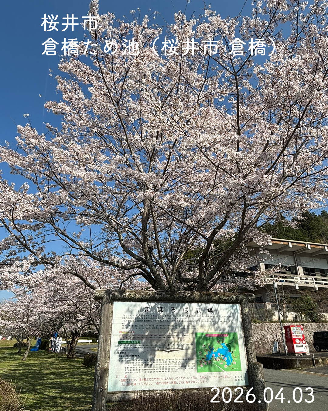 20260403倉橋溜池