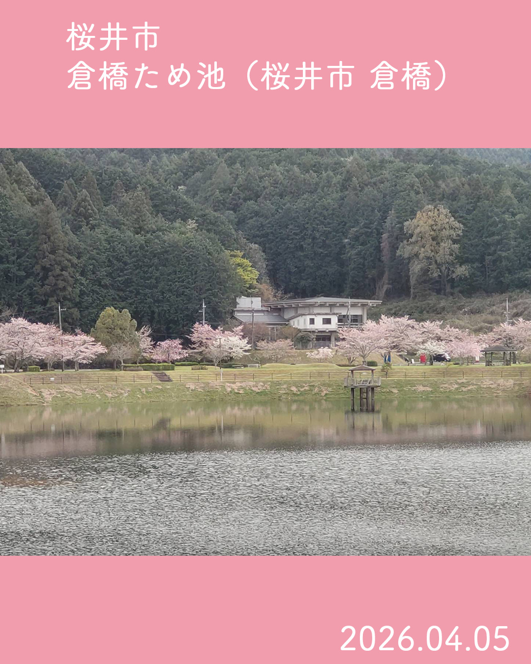 20260405_倉橋溜池