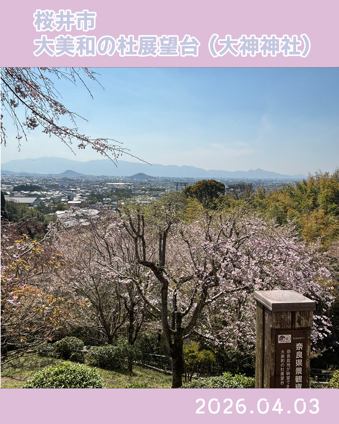 20260403大美和の杜