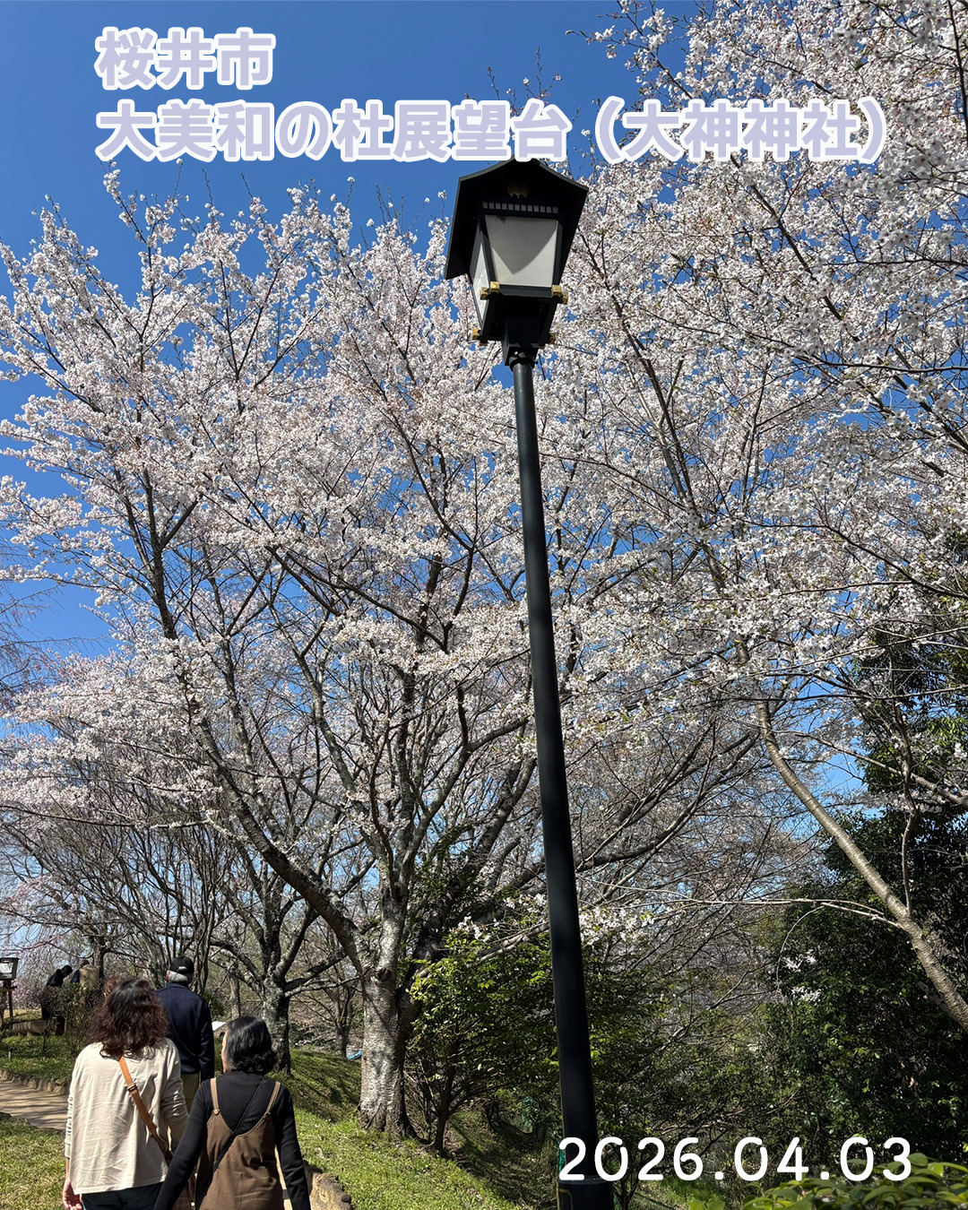20260403大美和の杜