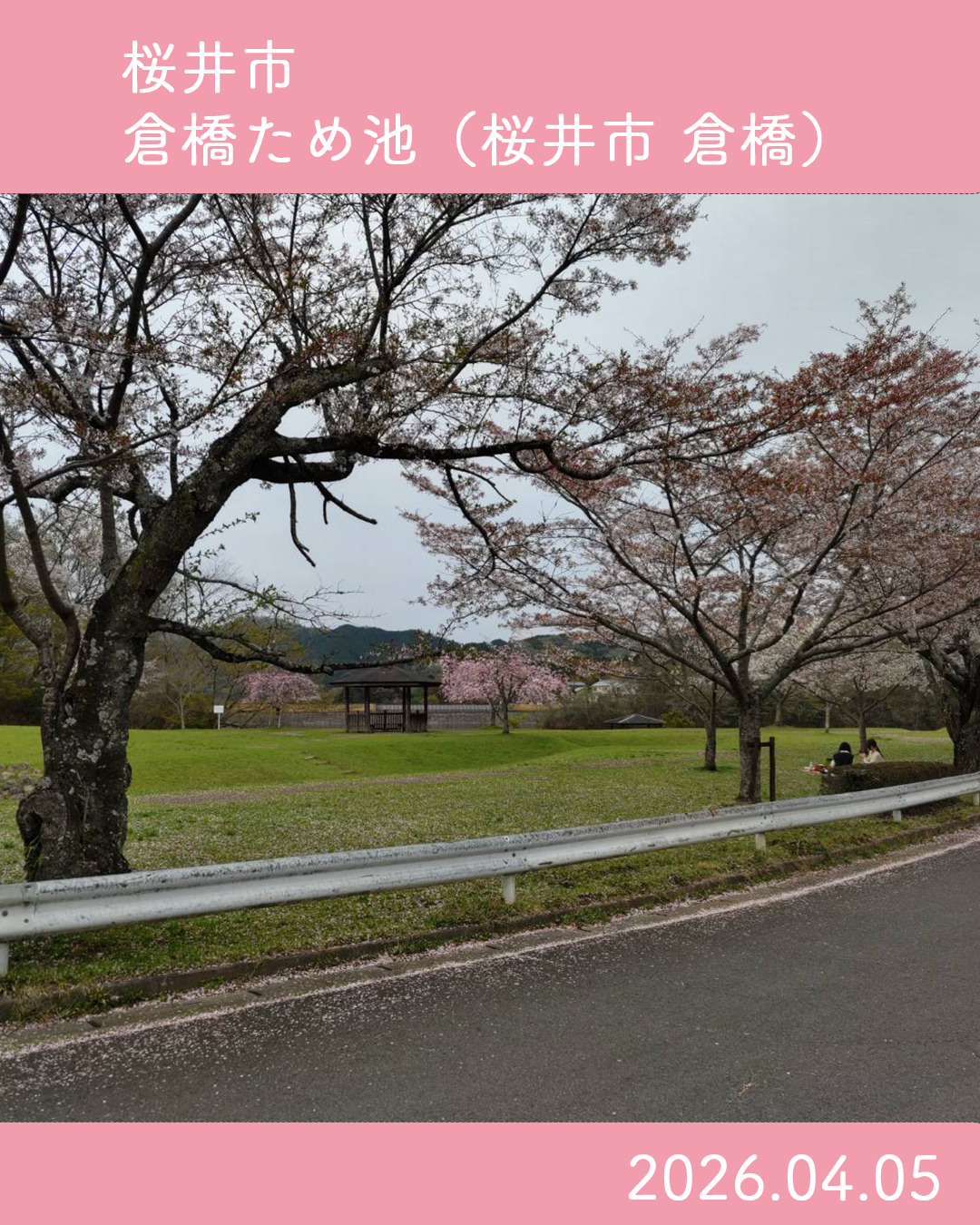 20260405_倉橋溜池