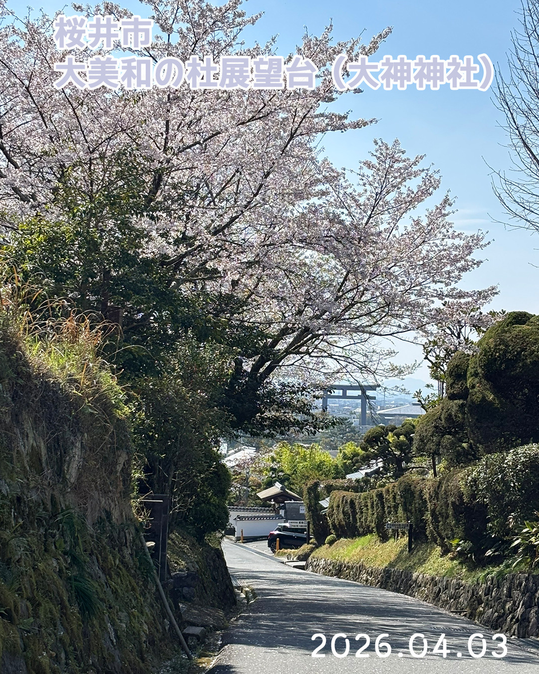 20260403大美和の杜