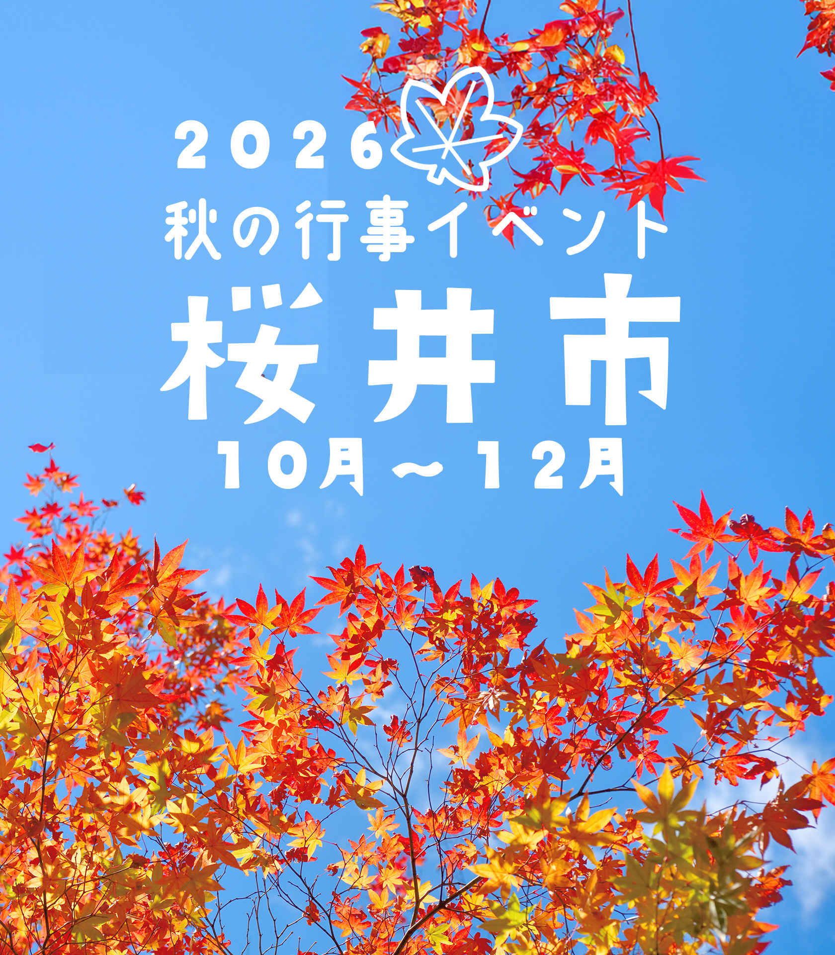 2026  桜井市の秋 行事